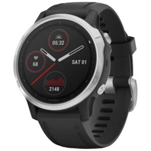 Garmin Fenix ​​6S Prateado/Preto 42mm