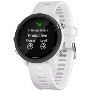 Garmin Fénix 7S - 42mm Prateado/Cinzento