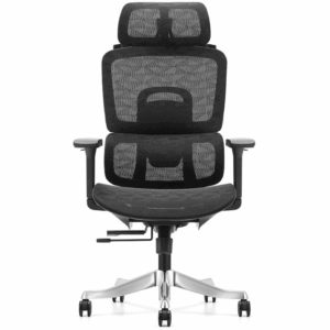 Cadeira de mesa ergonômica de malha Owlotech Regal preta
