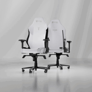 Secretlab TITAN Evo Arctic White